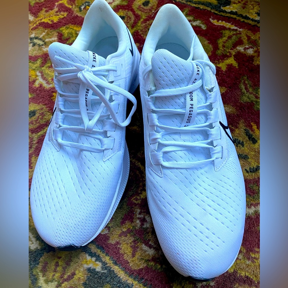 Nike Air Pegasus shoes